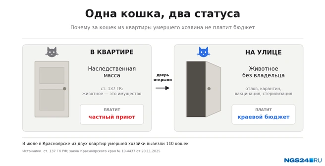 Чтобы было видно наглядно | Источник: Геннадий Денисов / NGS24.RU