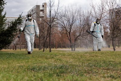 В Красноярске назвали условия для обработки от клещей