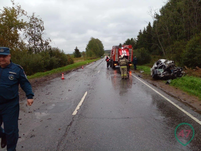 Водитель Datsun опрокинул встречный грузовик и погиб под Приозерском (видео, фото) | Источник: 47News