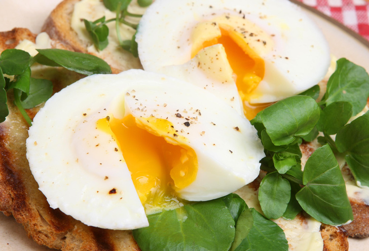 Какие яйца самые полезные: топ-10 торговых марок, в чьих продуктах повышенное содержание каротиноидов