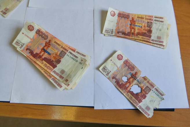 Воровка представилась соцработницей | Источник: Артём Устюжанин / MSK1.RU
