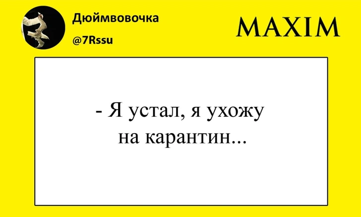 Лучшие шутки про самоизоляцию Владимира Путина