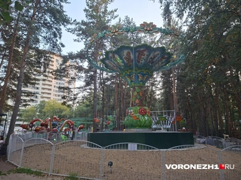 Источник: Алена Воропаева / Voronezh1.ru