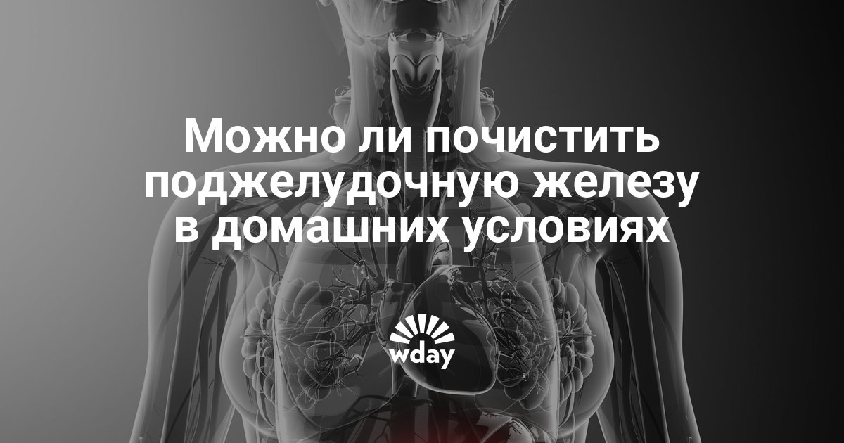 Очищаем поджелудочную железу. Очищаем поджелудочную железу. Очищаем поджелудочную железу. Очищение поджелудочной железы. Как почистить поджелудочную.