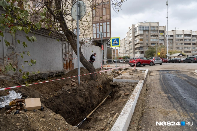 Дерево сохранили сверху, но корни обрубили | Источник: Мария Ленц / NGS24.RU
