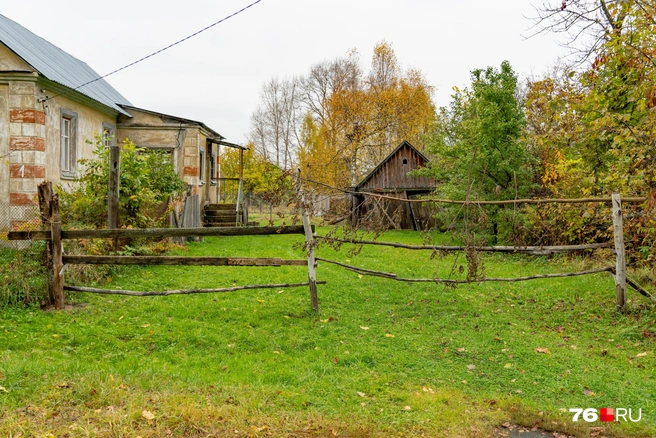 Необычное ограждение собрали из деревьев | Источник: Кирилл Поверинов / 76.RU