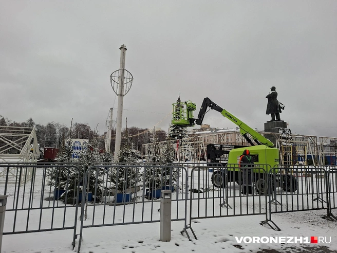 Снег выпал еще во вторник, 10 декабря | Источник: Алёна Воропаева / Voronezh1.ru