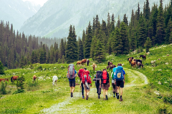 Источник: Lelde Feldmane-Zajarska via Shutterstock/Fotodom.ru