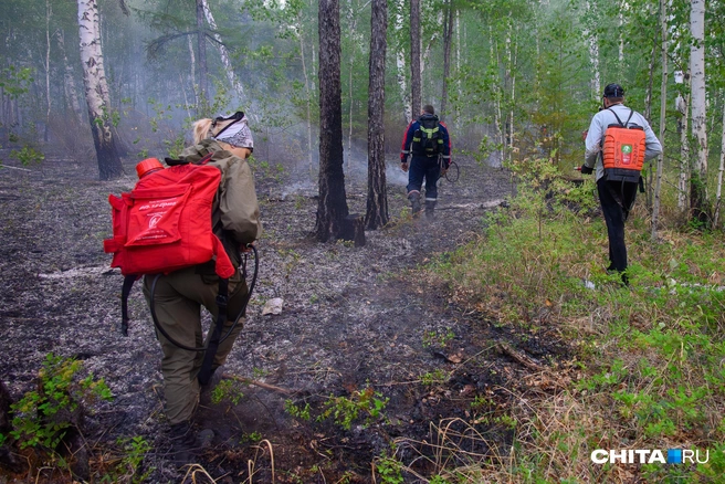 Это должно помочь в борьбе с пожарами | Источник: Олег Фёдоров / CHITA.RU