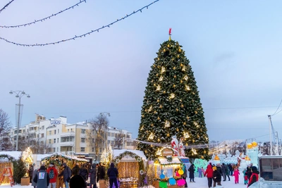 Самые дорогие новогодние елки: цены и модели
