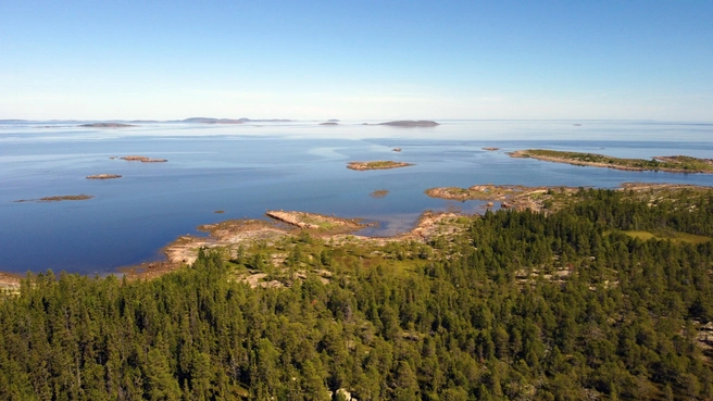 Кемские шхеры | Источник: Евгений Марсаков