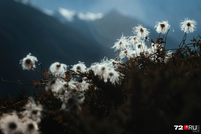 Источник: Екатерина Бурко