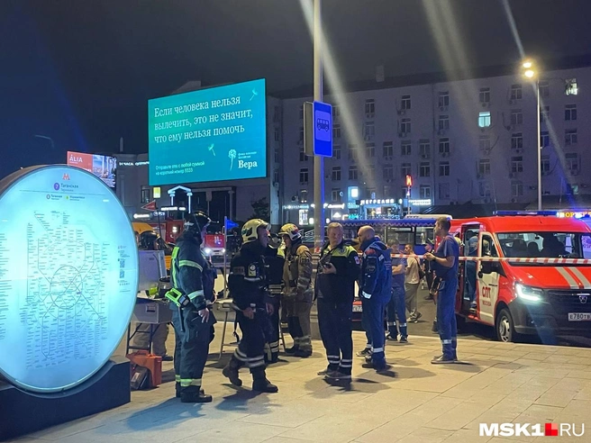 Источник: Вера Борисова / MSK1.RU