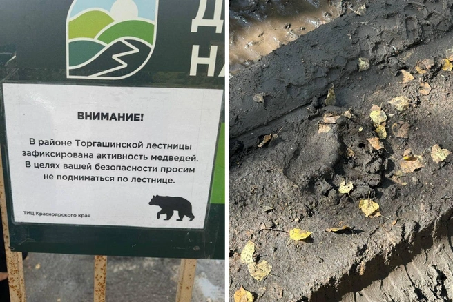 На Торгашинский лучше не ходить | Источник: Artur Nature / Telegram