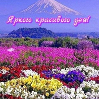 Аватарка Maрселина