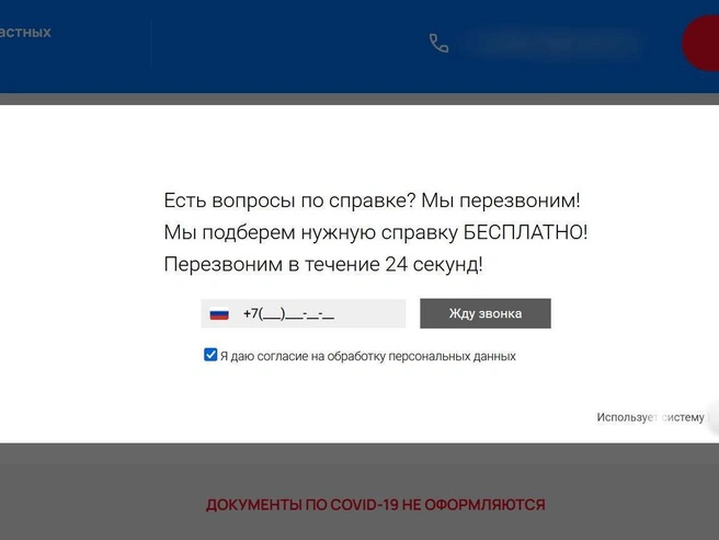 Источник: Скриншот с сайта, на котором продают справки