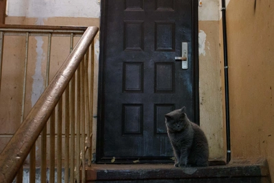 В Рязани вернули деньги за грязные подъезды