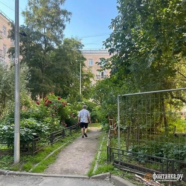 Источник: Читательница «Фонтанки» Ольга