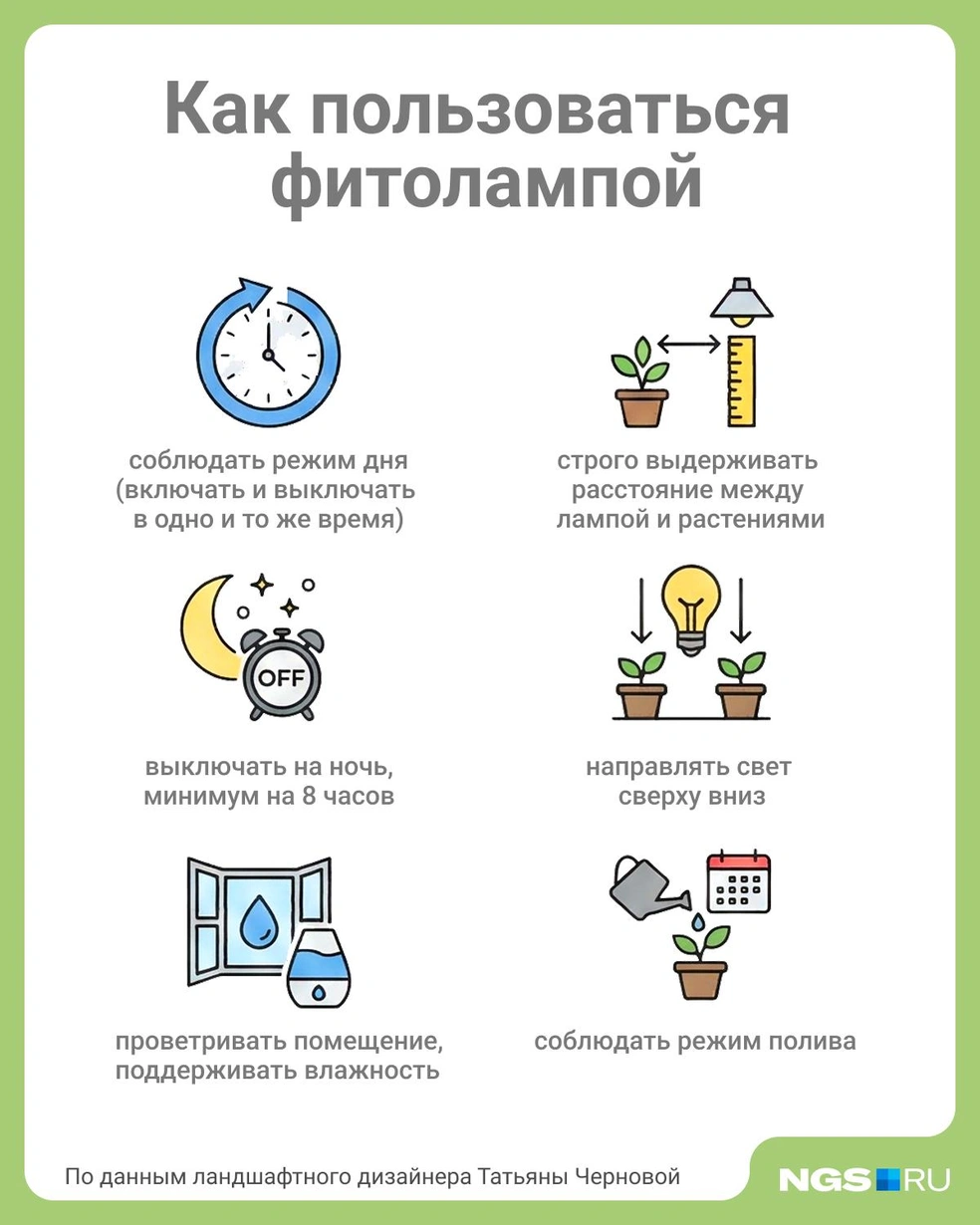 Источник: Юрий Орлов / Городские медиа