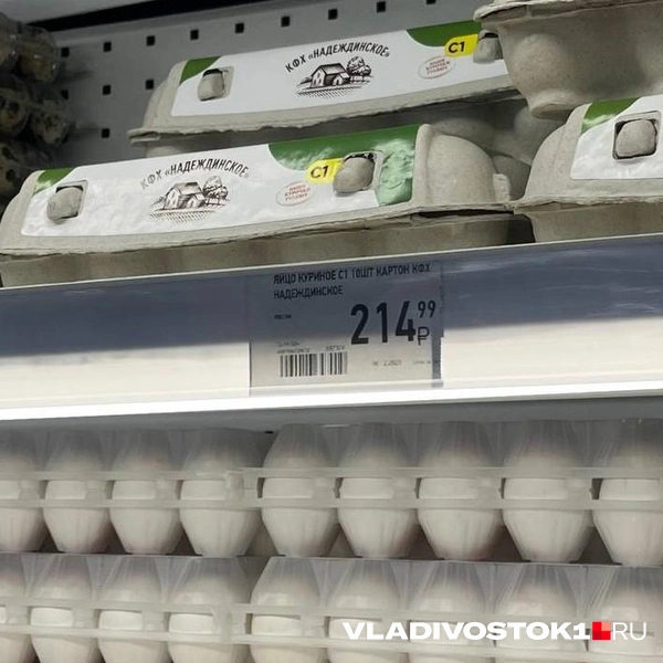 Источник: Елена Буйвол / VLADIVOSTOK1.RU