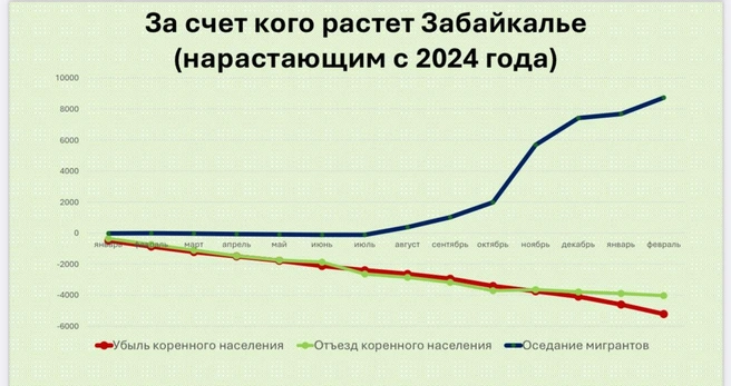 Красноярский показал поток мигрантов на графике | Источник: В попытке объективности / Telegram