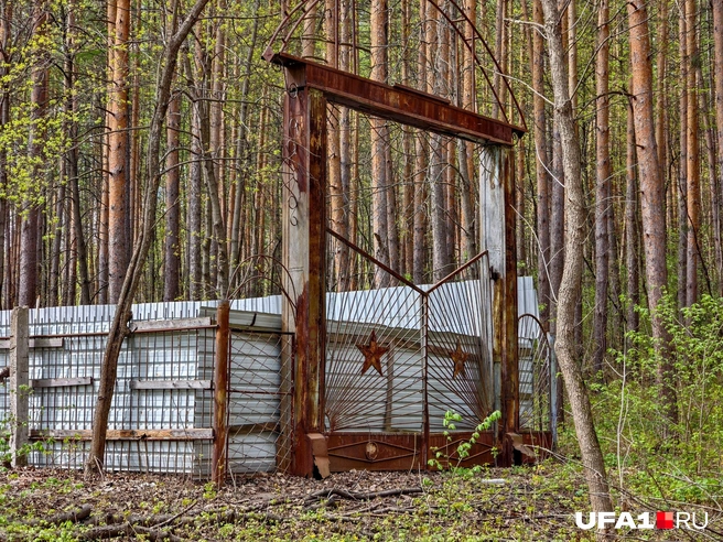 Атмосферно выглядит | Источник: Булат Салихов / UFA1.RU