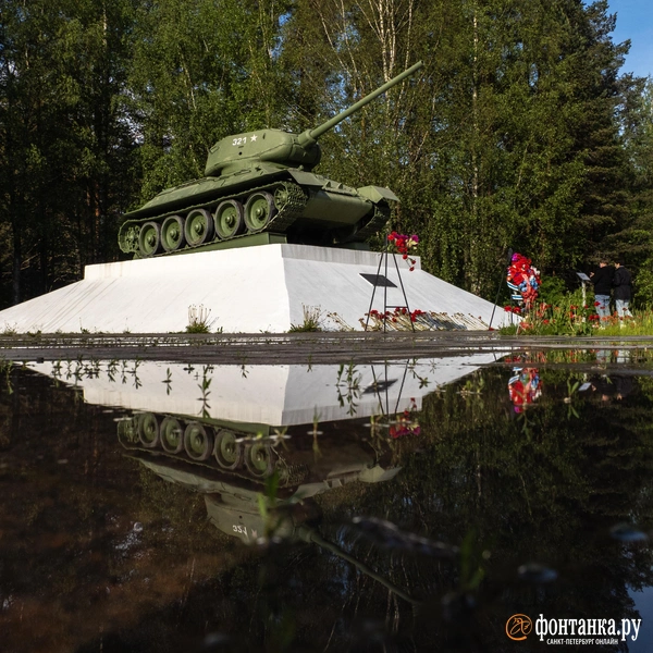 Источник: Mikhail Ognev