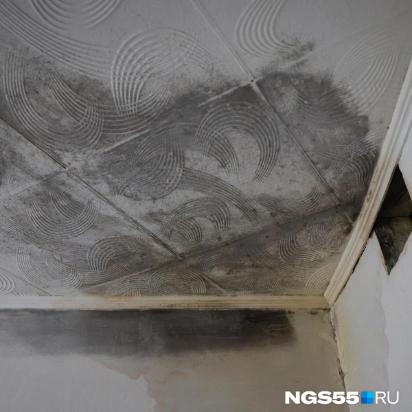 Стены мокрые, а потолок в плесени | Источник: Евгений Софийчук / NGS55.RU