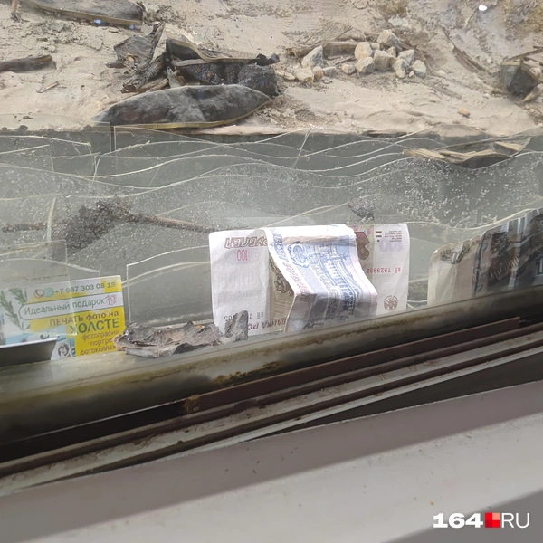 Источник: Сергей Гендин / 164.RU