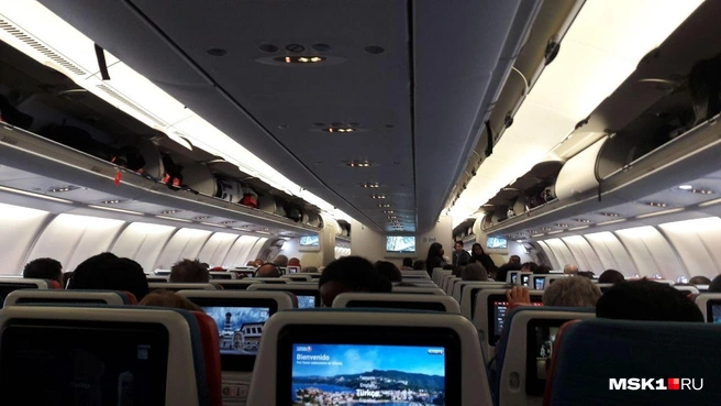 Пассажирам турецких авиакомпаний нужно сидеть на местах до тех пор, пока бортпроводники не скажут, что можно покидать самолет. Иначе — большой штраф | Источник: Анна Голубницкая / MSK1.RU