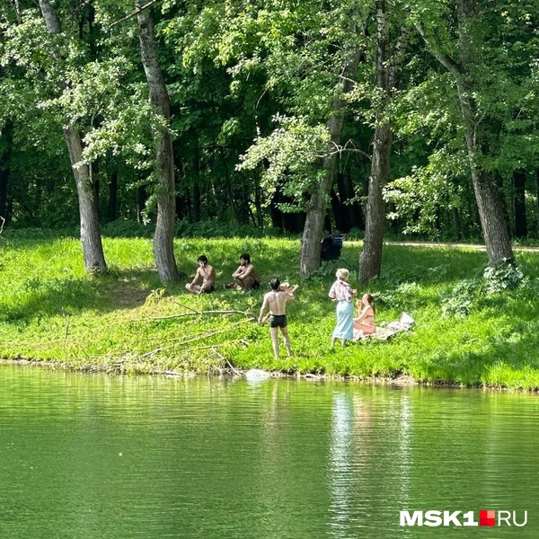 Обстановка на берегу | Источник: читательница MSK1.RU
