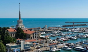 Не нужен нам овощ турецкий. Почему власти Сочи уже 14 лет сопротивляются запуску парома из Трабзона