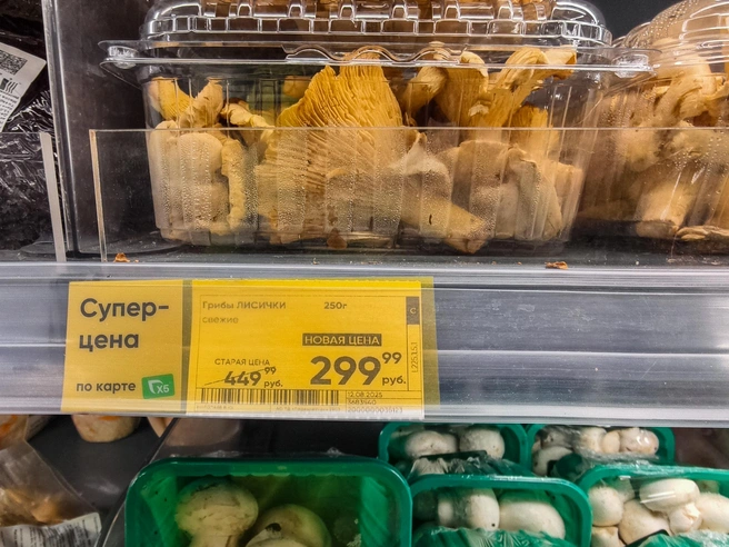 Лисичек можно и в массмаркете отхватить | Источник: Булат Салихов / UFA1.RU