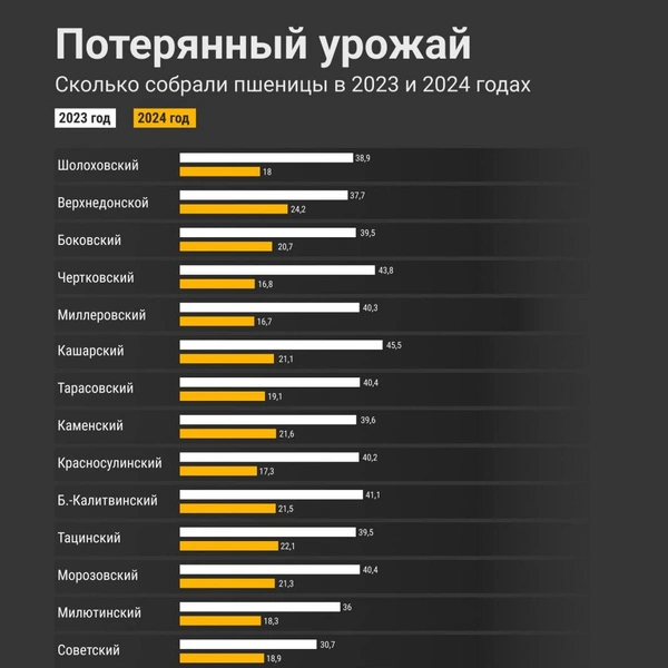 Статистика районов Ростовской области | Источник: Мария Романова / 161.RU