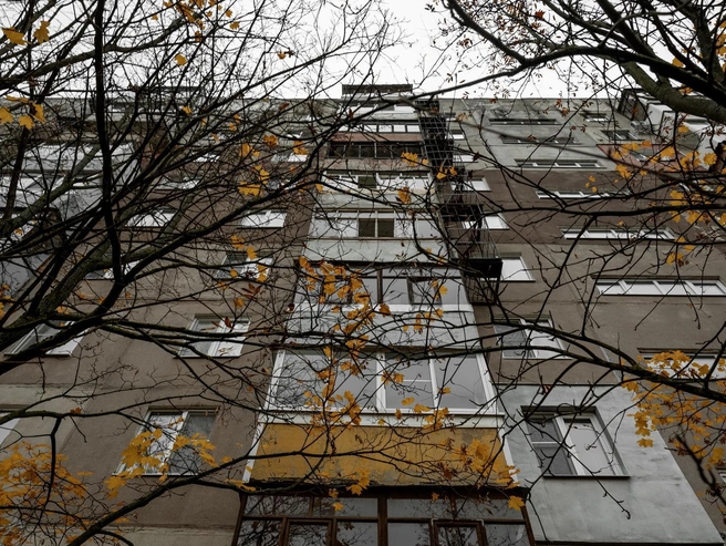 Еще немного, и мрачно-серый ноябрь вступит в свои права | Источник: Александр Куренной / 76.RU