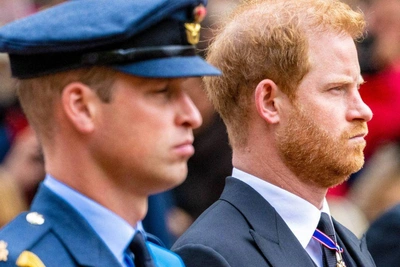 Принцы Гарри и Уильям 'объединились в горе' из-за неизвестных кадров Дианы
