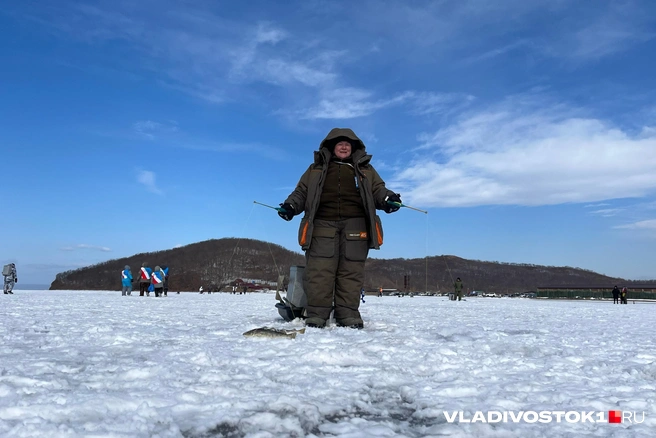 Источник: Елена Буйвол / VLADIVOSTOK1.RU