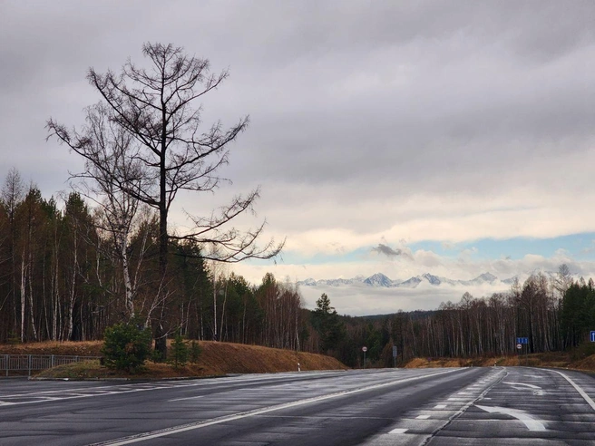 Алтай. Здесь красиво в любое время года | Источник: из личного архива М. Вавиловой