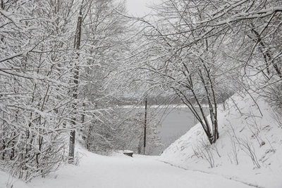 Нижний Новгород ждут крещенские морозы до -22°C