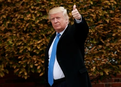 Оправдан по всем статьям: Дональд Трамп избежал импичмента