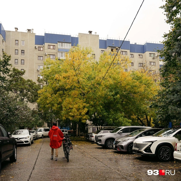 Источник: Дарья Паращенко / 93.RU