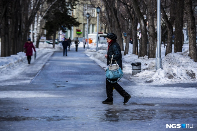 В Воронежской области ожидается гололед | Источник: Густаво Зырянов / NGS.RU