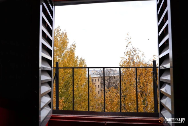 Источник: Дарья Драй / «Фонтанка.ру»