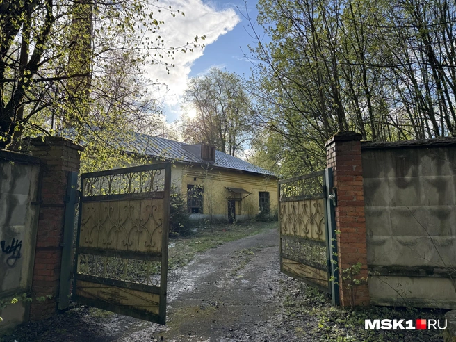 Источник: Алина Мельникова / MSK1.RU