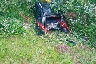 Водитель погиб под колесами своего авто после наезда на лося