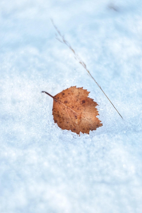 Источник: Анастасия Руднева / Vk.com