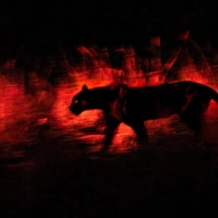 Подведены итоги конкурса European Wildlife Photographer of the Year 2026: взгляните на невероятные фото дикой природы
