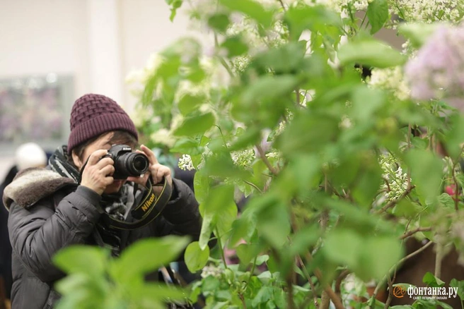 Источник: Ксения Потеева / «Фонтанка.ру»