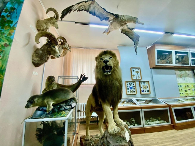 Источник: vk.com/museum.kemsu