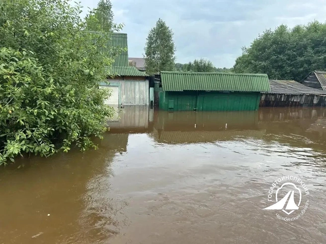 Источник: ГАИ Челябинской области 